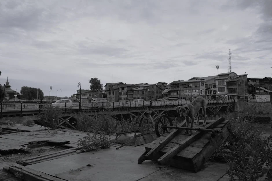 dog mental stimulation, puppy enrichment activities, preventing dog boredom, dog brain training, canine puzzle toys