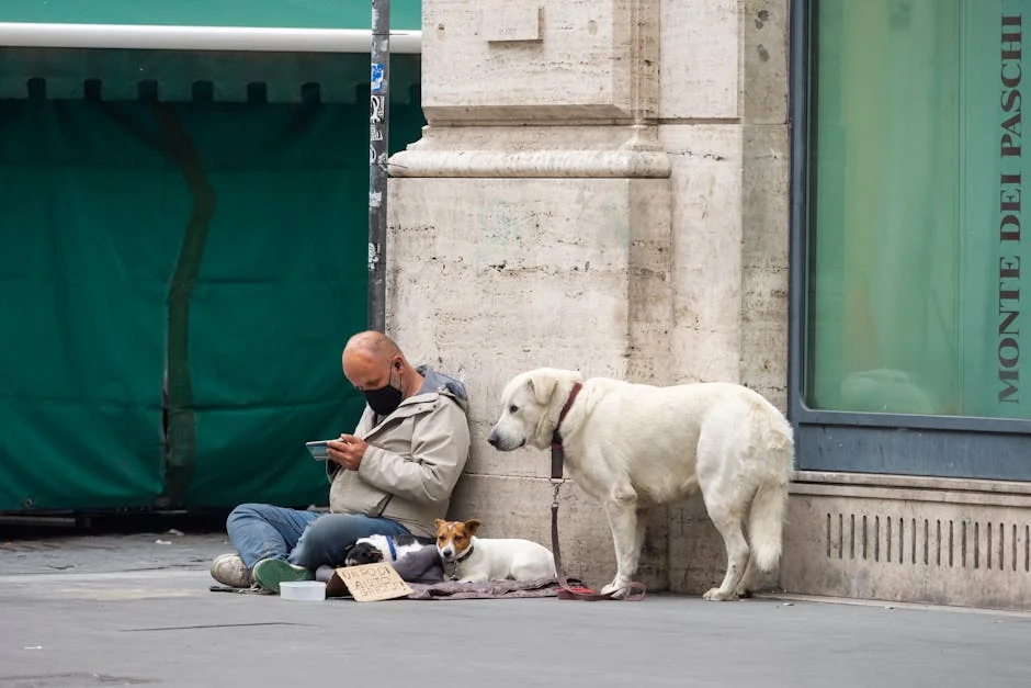 essential oils warning, dog flea remedies, natural flea control, essential oils for dogs, flea treatment caution